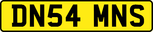 DN54MNS