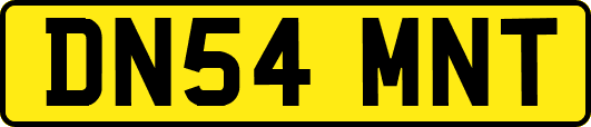 DN54MNT