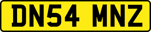 DN54MNZ
