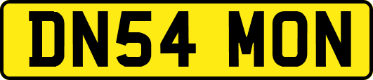 DN54MON