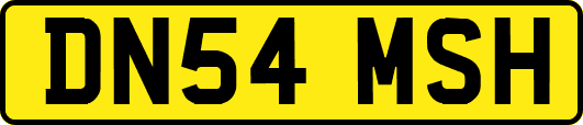 DN54MSH