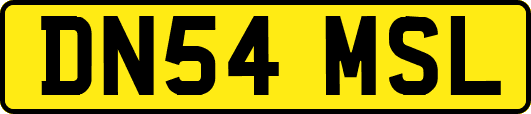DN54MSL