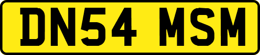 DN54MSM