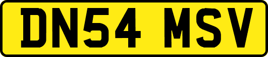 DN54MSV