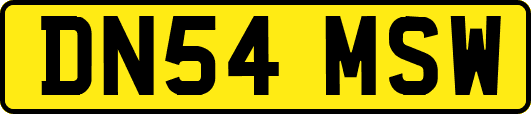 DN54MSW