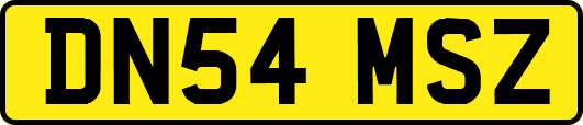 DN54MSZ