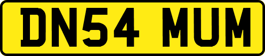 DN54MUM