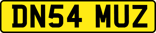 DN54MUZ