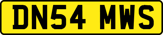 DN54MWS