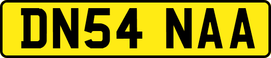 DN54NAA