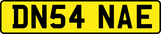 DN54NAE