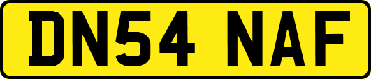 DN54NAF