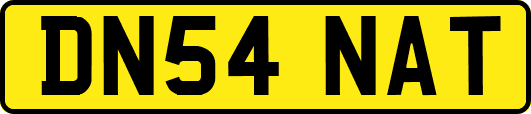 DN54NAT
