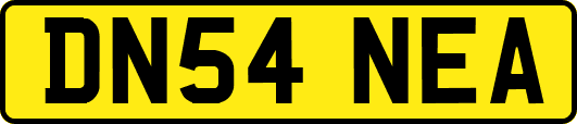 DN54NEA