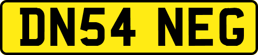DN54NEG