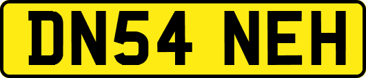 DN54NEH