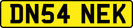 DN54NEK