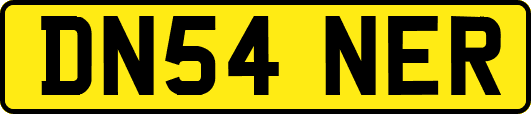 DN54NER