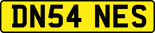 DN54NES