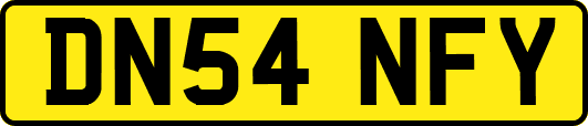 DN54NFY