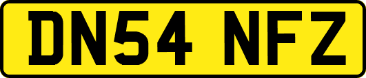DN54NFZ