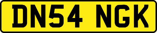 DN54NGK