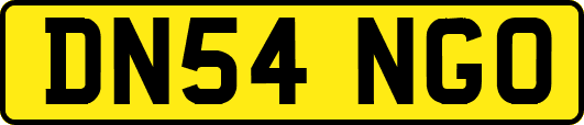 DN54NGO