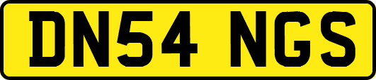 DN54NGS
