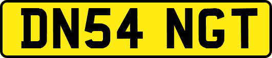 DN54NGT