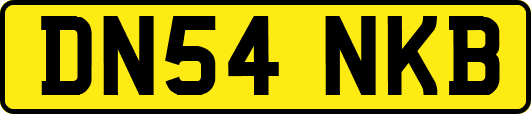 DN54NKB