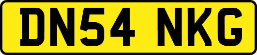 DN54NKG