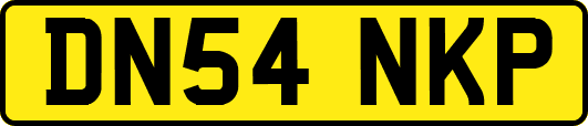 DN54NKP