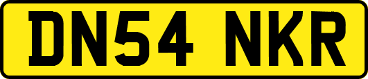 DN54NKR