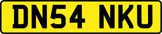 DN54NKU