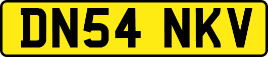 DN54NKV