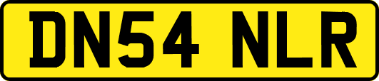 DN54NLR