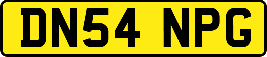 DN54NPG