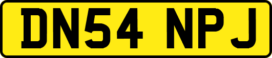 DN54NPJ