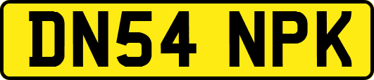 DN54NPK