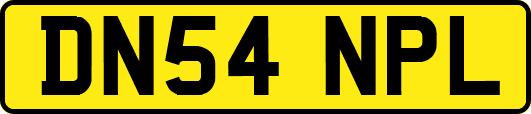 DN54NPL