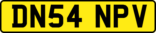 DN54NPV