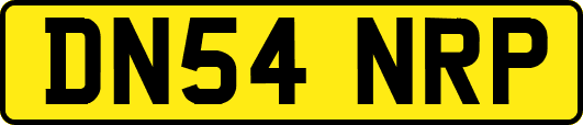 DN54NRP