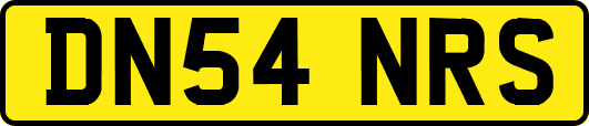 DN54NRS
