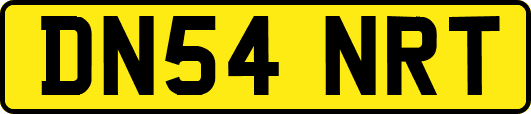 DN54NRT