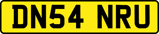 DN54NRU