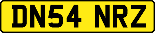 DN54NRZ