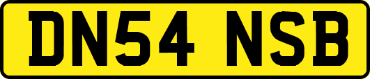 DN54NSB