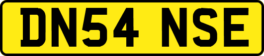 DN54NSE