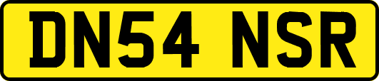DN54NSR
