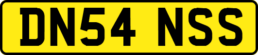DN54NSS
